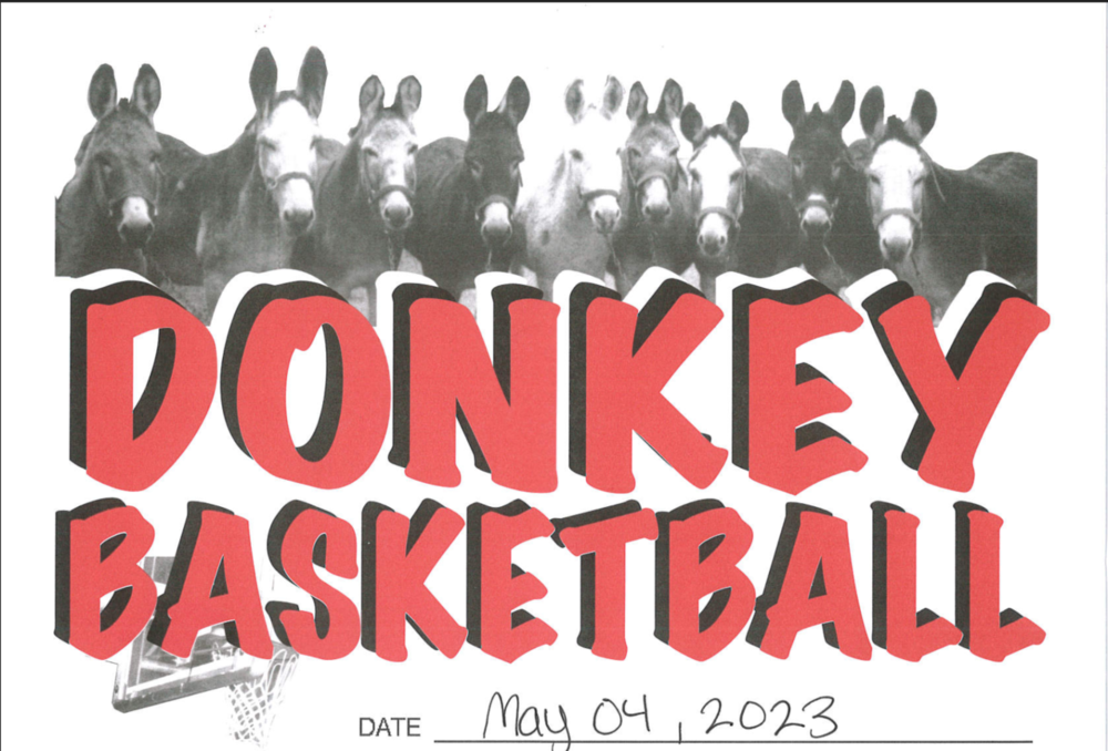 DonkeyBasketball